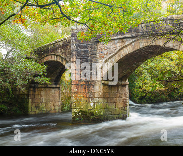 Storico ponte del fiume Dart a Newbridge Parco Nazionale di Dartmoor Devon England Regno Unito Europa Foto Stock