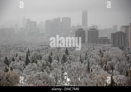 Toronto, Canada, 22 dicembre 2013, principali congelamento la pioggia e la tempesta di ghiaccio oscura downtown e Midtown Toronto con neve e ghiaccio agglomerati in forma di pellets. Il primo piano è di Mount Pleasant cimitero. Credito: CharlineXia/Alamy Live News Foto Stock
