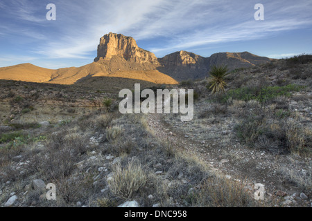 Un sentiero conduce alla famosa El Capitan sotto l'ombra di Texas' picco più alto, Guadalupe peak in Guadalupe Mountains Nat. Parco. Foto Stock