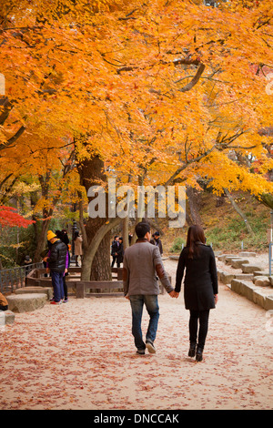 Coppia giovane tenendo le mani e piedi in acero con colori autunnali - Corea del Sud Foto Stock