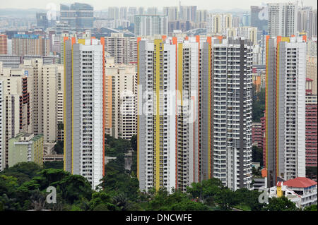 Singapore. 23 Dic, 2013. Foto scattata a Dic. 23, 2013 mostra l'edilizia pubblica appartamenti a Singapore il Bukit Merah. Singapore il ministero del Commercio e dell'industria (MTI) ha annunciato che il tasso di inflazione è salito al 2,6 per cento nel mese di novembre dal 2,0 per cento nel mese precedente. © poi Chih Wey/Xinhua/Alamy Live News Foto Stock