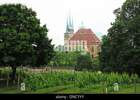 In Germania, in Turingia, Erfurt, Cattedrale Foto Stock