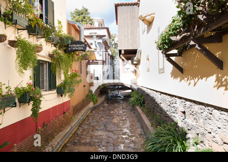Uno dei molti canali artificiali a Funchal, un esempio dei molti levadas che si trovano in tutta l'isola di Madera Foto Stock