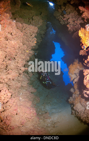 Sommozzatore in grotta. Ras Mohammed Parco Nazionale, la penisola del Sinai, Sharm el-Sheikh, Mar Rosso, Egitto, Africa Foto Stock