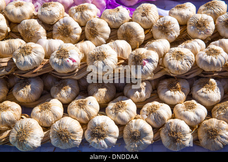 Aglio grappoli impilati in una fila in Spagna Foto Stock