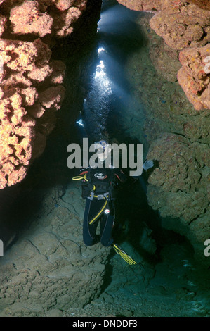 Sommozzatore in grotta. Ras Mohammed Parco Nazionale, la penisola del Sinai, Sharm el-Sheikh, Mar Rosso, Egitto, Africa Foto Stock