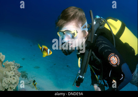 Sommozzatore guardando due-nastrare clownfish, Anemonefish (Amphiprion bicinctus), Mar Rosso, Egitto, Africa Foto Stock