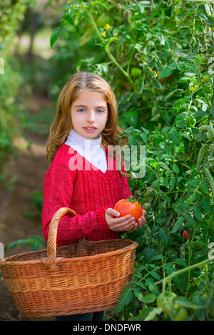 Agricoltore kid ragazza la raccolta di pomodori in un home azienda di famiglia Foto Stock