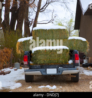 Snow le balle di paglia carrello nella primavera tempo in Nevada USA Foto Stock