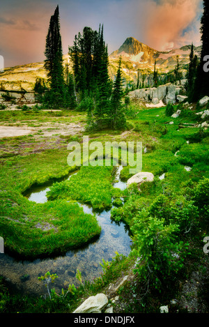 Piccolo ruscello e prato con cappuccio Eagle Mountain. Eagle Cap deserto, Oregon Foto Stock