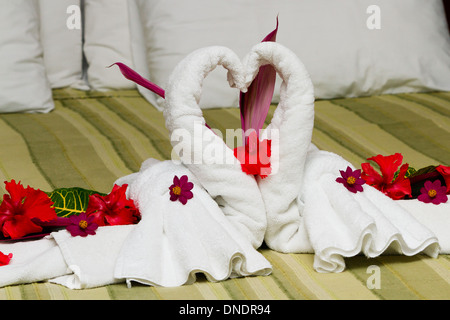 Asciugamano swan lasciato dal servizio in camera in una camera di hotel in America centrale Foto Stock