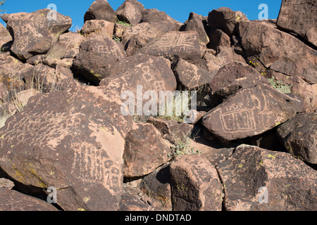 Incisioni rupestri sulla pietra nel Mojave National Preserve Foto Stock