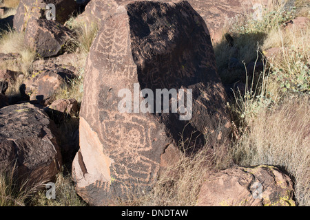 Incisioni rupestri sulla pietra nel Mojave National Preserve Foto Stock