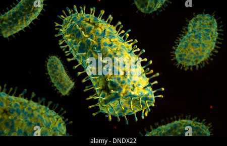 Immagine concettuale del virus della rabbia. Foto Stock