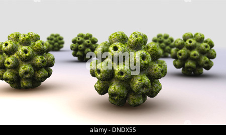 Immagine concettuale di poliomavirus. Foto Stock