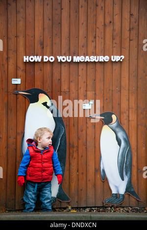 Un ragazzino e vita-dimensioni Foto di pinguini presso lo zoo di Edimburgo, Scozia, Regno Unito Foto Stock