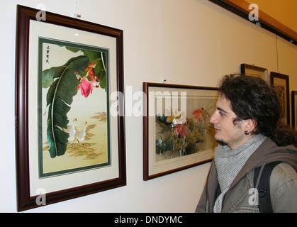 Ankara, Turchia. 23 Dic, 2013. Un visitatore appare in un lavoro di ricamo cinese durante una mostra di Ankara, Turchia, Dic 23, 2013. Il ricamo cinese mostra d'arte ha dato dei calci a fuori qui il lunedì, che riunisce una quarantina di pezzi di opere dotate di paesaggio, fiori, animali, figure e folklore. © Li Ming/Xinhua/Alamy Live News Foto Stock