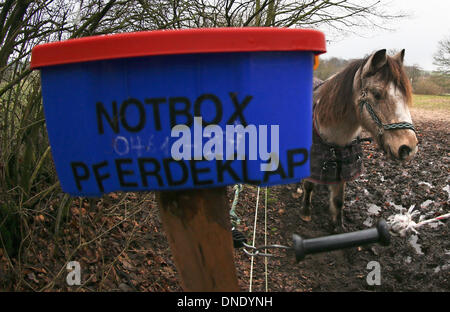 Norderbrarup, Germania. Xviii Dicembre, 2013. Cavallo " Beachboy' sorge sull'ingresso del cavallo di hatch in Norderbrarup, Germania, 18 dicembre 2013. Proprietari di cavalli possono lasciare i loro animali in forma anonima a cavallo di emergenza box. Foto: Axel Heimken/dpa/Alamy Live News Foto Stock