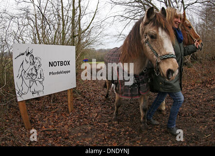 Norderbrarup, Germania. Xviii Dicembre, 2013. Petra Teegen, iniziatore della Germania primo cavallo berlina, pone con i cavalli Beachboy' (L) e 'Pirat' nei locali del cavallo di hatch in Norderbrarup, Germania, 18 dicembre 2013. Proprietari di cavalli possono lasciare i loro animali in forma anonima a cavallo di emergenza box. Foto: Axel Heimken/dpa/Alamy Live News Foto Stock