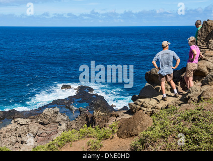 Vista della frastagliata Costa Occidentale di Maui con il pool di Olivina qui di seguito. Foto Stock