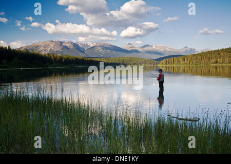 Medio di sesso maschile di età compresa la pesca con la mosca in Patricia Lake, il Parco Nazionale di Jasper, Alberta, Canada. Foto Stock