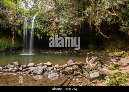 La bella e magica Twin Falls lungo la strada di Hana in Maui. Foto Stock