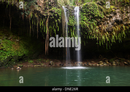 La bella e magica Twin Falls lungo la strada di Hana in Maui. Foto Stock