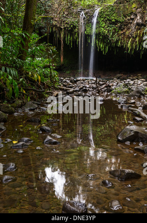 La bella e magica Twin Falls lungo la strada di Hana in Maui. Foto Stock