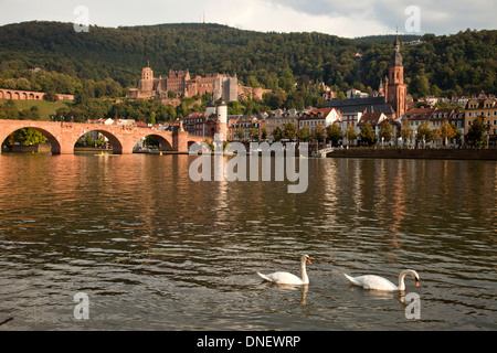 Egli del castello di Heidelberg, il Ponte Vecchio e il fiume Neckar a Heidelberg, Baden-Württemberg, Germania Foto Stock