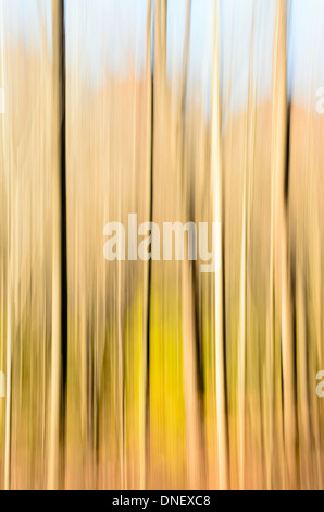 Giallo palla da tennis sul banco da campo da tennis Foto Stock