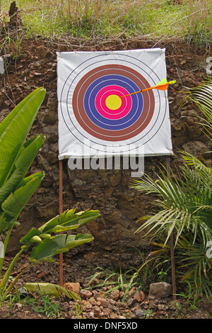 Scheda di tiro con l'arco, tiro bersagli Foto Stock