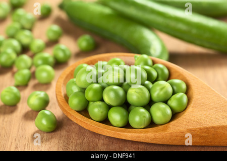 Crudo fresco pisello verde (lat. Pisum sativum) semi sul cucchiaio di legno (messa a fuoco selettiva, concentrarsi sui piselli in due righe inferiori) Foto Stock