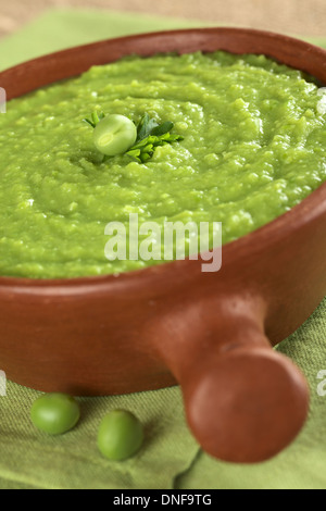 Fresco verde zuppa di piselli in ciotola rustico (messa a fuoco selettiva, Focus sul pisello e la foglia di prezzemolo in mezzo alla minestra) Foto Stock