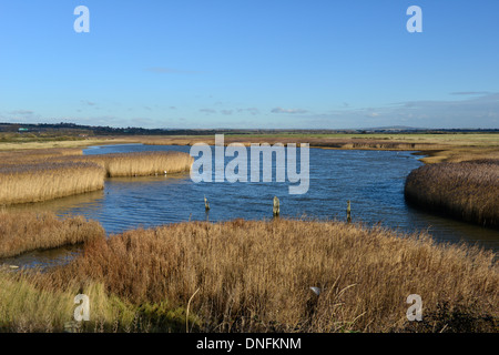 Paludi Farlington riserva naturale vicino a Portsmouth, Hampshire Foto Stock