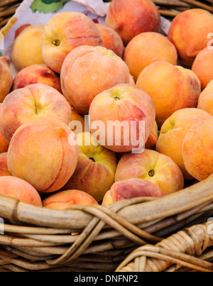 Fresh palizzata pesche per vendita, Buena Vista, Colorado, Mercato Agricolo Foto Stock