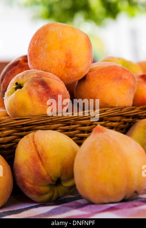 Fresh palizzata pesche per vendita, Buena Vista, Colorado, Mercato Agricolo Foto Stock