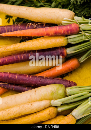 Varietà di carote colorate per la vendita, Buena Vista, Colorado, Mercato Agricolo Foto Stock