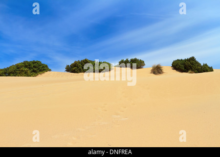 Dune di Piscinas in Costa Verde, a sud-ovest della Sardegna, Italia Foto Stock