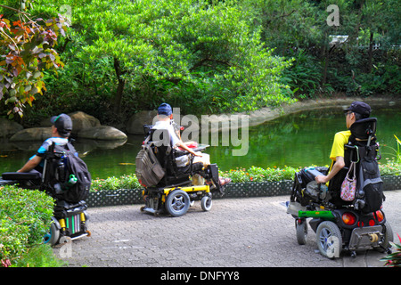 Hong Kong Cina, Hong Kong, Asia, cinese, orientale, isola, centrale, Hong Kong Park, paesaggio, alberi, stagno, uomo asiatico maschio, sedia a rotelle elettrica, handicap disabili Foto Stock