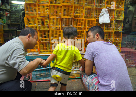 Hong Kong Cina,HK,Asia,Cinese,Orientale,Kowloon,Prince Edward,Yuen po Street,Bird Garden Market,venditore venditori venditori venditori,bancarelle stand merchandising Foto Stock