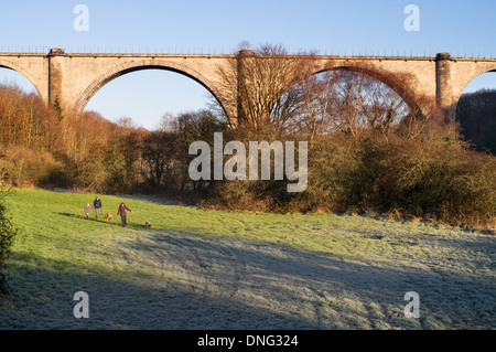 Giovane pochi cani Valle di usura Washington con Victoria il viadotto in background, North East England, Regno Unito Foto Stock