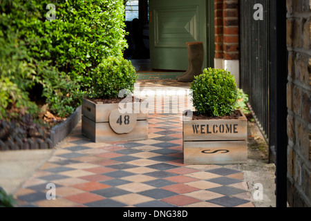 Due vasi di siepe di bosso piante, nelle piantatrici di legno su un percorso che conduce a una porta anteriore. Foto Stock
