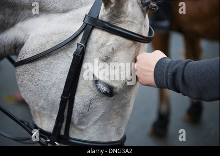 Golden Valley Boxing Day raduno di suoneria in Hay-on-Wye Powys Wales UK Foto Stock