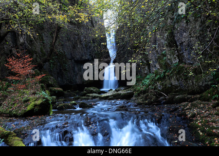 Autunno forza Catrigg cascata, villaggio Stainforth, fiume Ribble, Yorkshire Dales National Park, England, Regno Unito Foto Stock