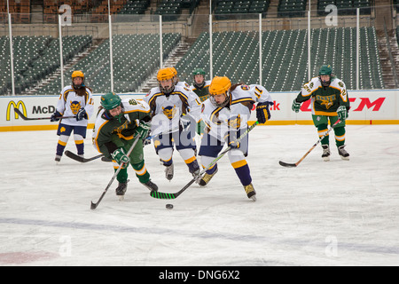 Alta scuola ragazze Hockey su Ghiaccio Foto Stock