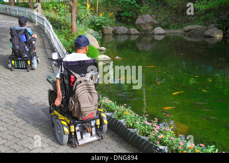 Hong Kong Cina, Hong Kong, Asia, cinese, orientale, isola, centrale, Hong Kong Park, paesaggio, alberi, stagno, uomo asiatico maschio, sedia a rotelle elettrica, handicap disabili Foto Stock