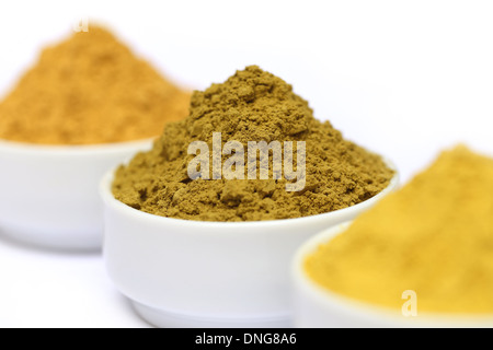 Henna uptan polvere di legno di sandalo sul vaso di ceramica Foto Stock