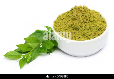 Foglie di hennè con polvere sul vaso di ceramica su sfondo bianco Foto Stock