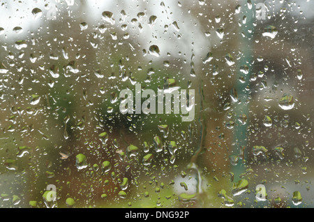 Intrappolato all'interno su un ventoso bleak Rainy day in autunno o in inverno senza foglie sugli alberi della finestra vista le gocce di pioggia fosche previsioni Foto Stock