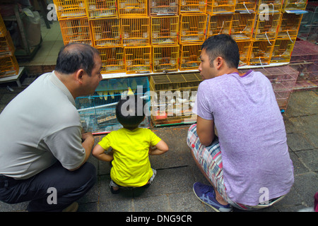 Hong Kong Cina,HK,Cinese,Kowloon,Prince Edward,Yuen po Street,Bird Garden Market,venditori,bancarelle stand mercato acquisto,espositore sal Foto Stock